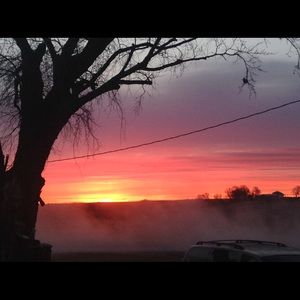 Meet your Posher, Nina